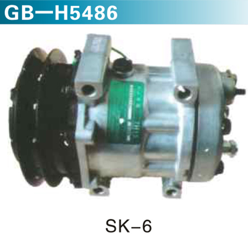 SK-6