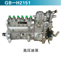 高压油泵 (11)