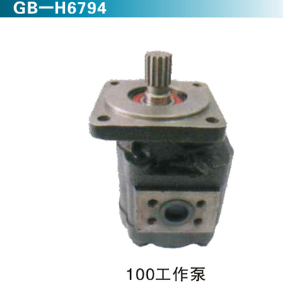 100工作泵