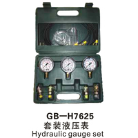 GB-H7625 套装液压表 Hydraulic gauge set