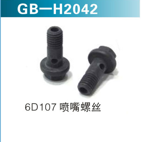 6D107 噴嘴螺絲