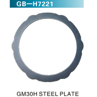 GM30H STEEEL PLATE