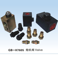 GB-H7605 炮機(jī)閥 Valve