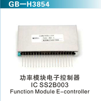 功率?？榈缱涌刂破?IC SS2B003 Function Module E-controller