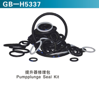 提升器修理包 Pumpplunge Seal Kit