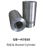 GB-H7830 马拉头Bucket Cylinder