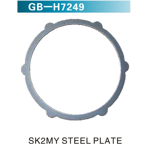 SK2MY STEEL PLATE