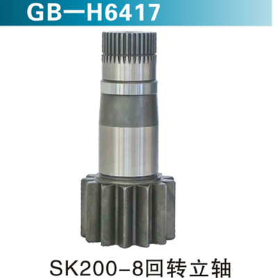 SK200-8回转立轴