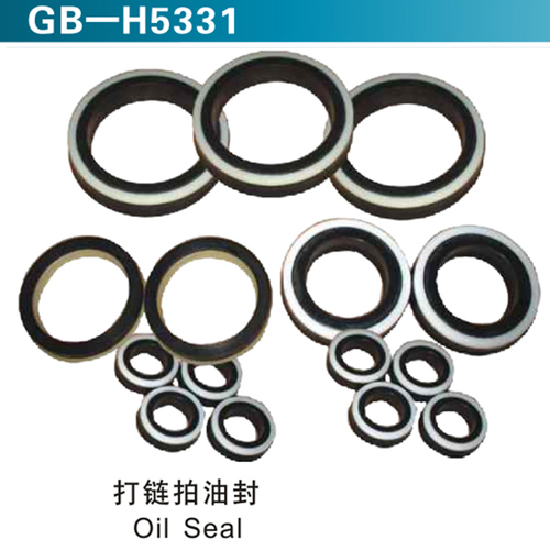 打鏈拍油封 Oil Seal